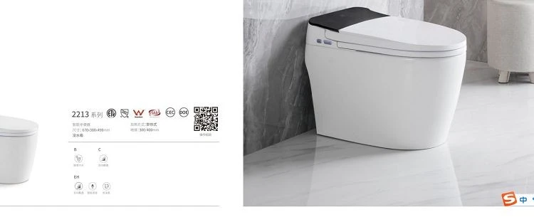 Modern Smart Toilet best