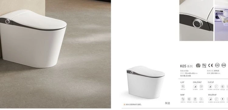 Modern Smart Toilet factory